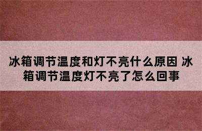 冰箱调节温度和灯不亮什么原因 冰箱调节温度灯不亮了怎么回事